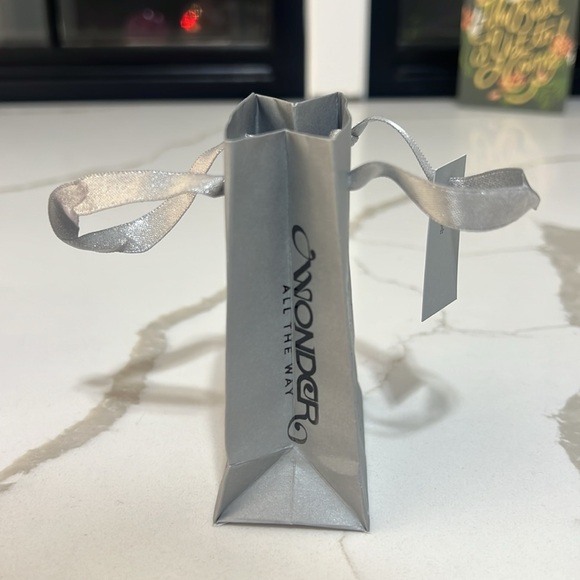 Nordstrom Silver Gift Bag - Picture 4 of 6